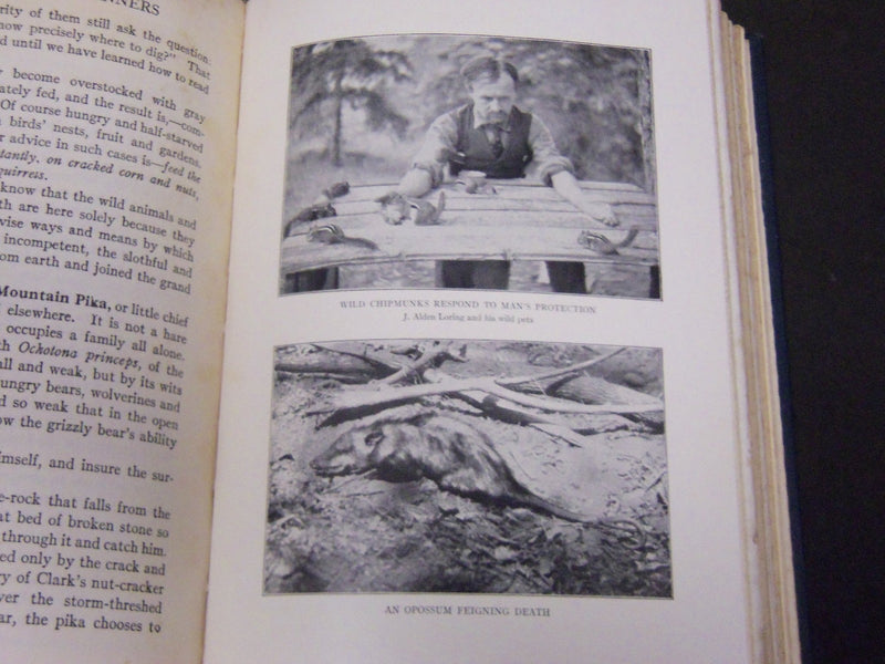 1923 THE MINDS AND MANNERS OF WILD ANIMALS BY W. T. HORNADAY - KD 5816