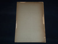 1894 E. L. FREEMAN THE REAL ISSUE - RHODE ISLAND SENATE - J 8940