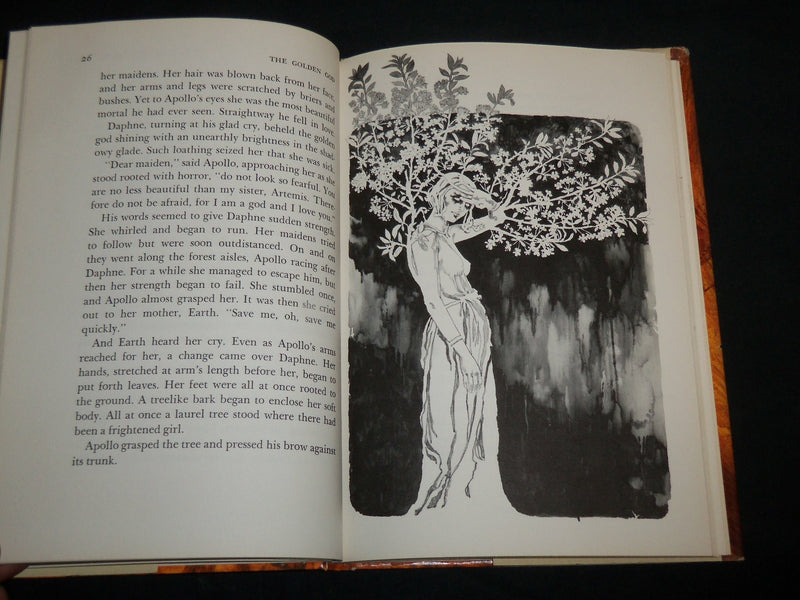 1973 THE GOLDEN GOD HARDCOVER BOOK BY DORIS GATES - COCONIS - KD 6870