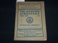 1919 SPRING WORCESTER DISTRICT TELEPHONE DIRECTORY - WORCESTER DISTRICT - J 8819