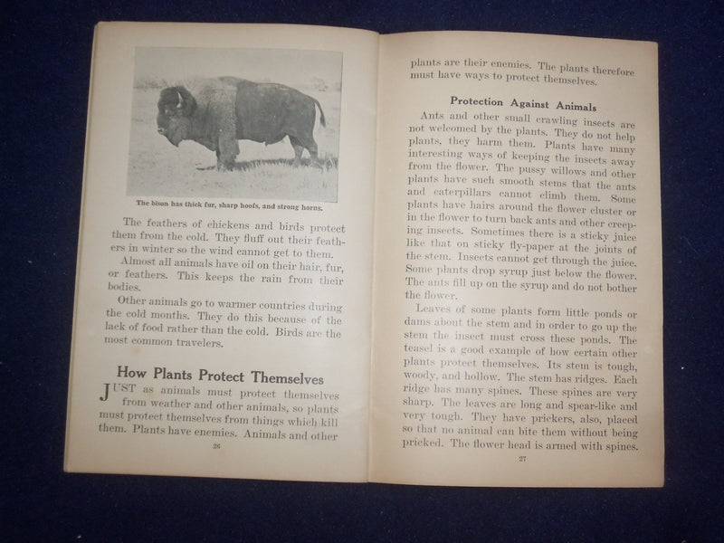 1935 PROTECTION IN NATURE BY GAYNELLE DAVIS - UNIT STUDY BOOK NO. 352 - J 9486