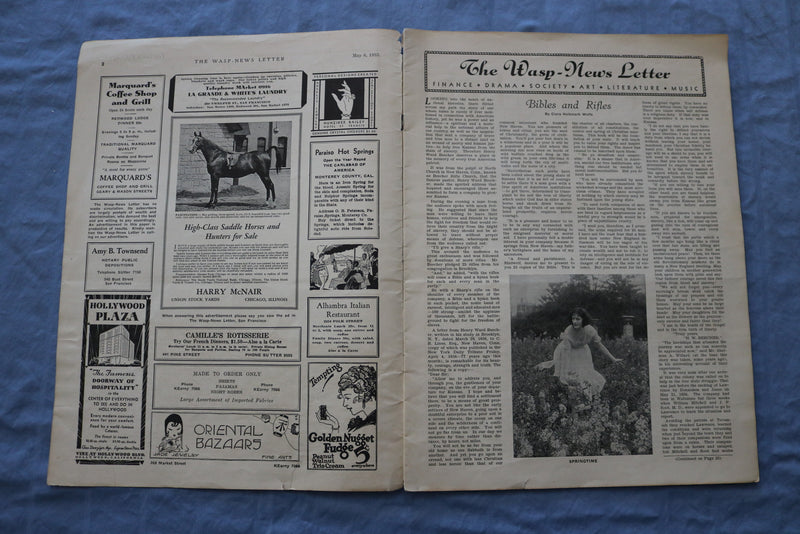 1933 MAY 6 THE WASP NEWS LETTER JOURNAL - ILLUSTRATIONS/STORIES/ADS - SP 4785F