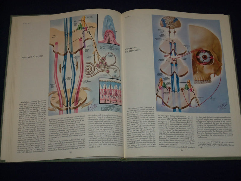 1977 CIBA COLLECTION OF MEDICAL ILLUSTRATIONS VOL. 1 - NERVOUS SYSTEM - KD 2708
