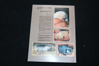 1985 JULY SOUTH AFRICAN PANORAMA MAGAZINE - WARRIOR COVER - ST 1009M