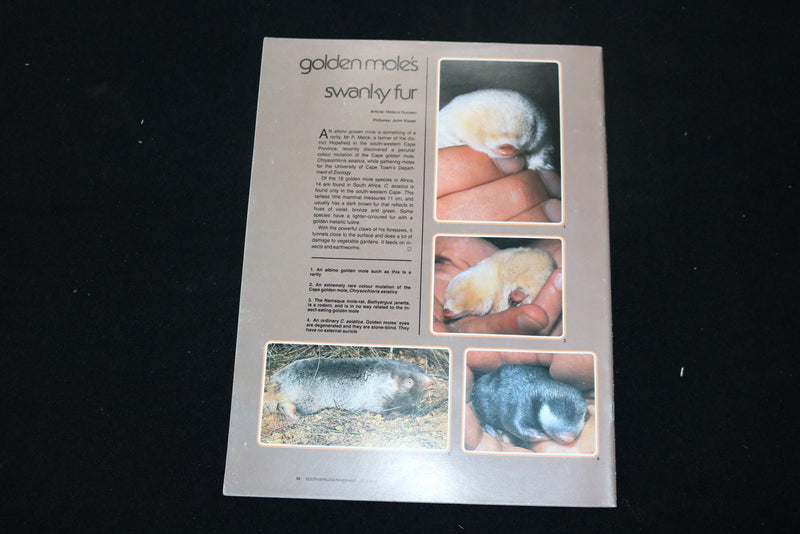 1985 JULY SOUTH AFRICAN PANORAMA MAGAZINE - WARRIOR COVER - ST 1009M
