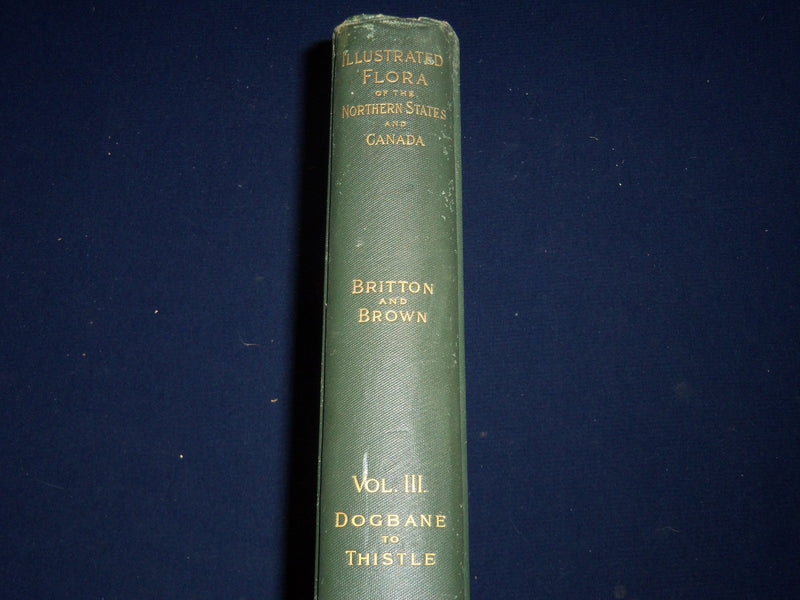 1898 AN ILLUSTRATED FLORA OF NORTHERN US & CANADA VOLUME NO. 3 - KD 3557