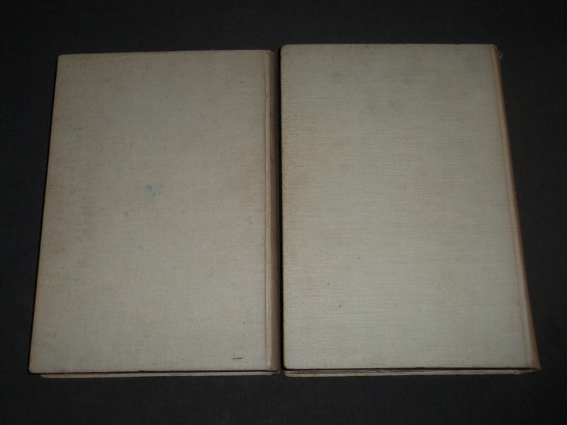 1928 WELTERLEBNIS BY RUDOLF MARIA HOLZAPFEL GERMAN VOLUME 1 & 2 - KD 4931