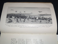 1921 WILD FIRE RESOURCES OF LOUISIANA DEPT OF CONSERVATION M. ALEXANDER- J 8716