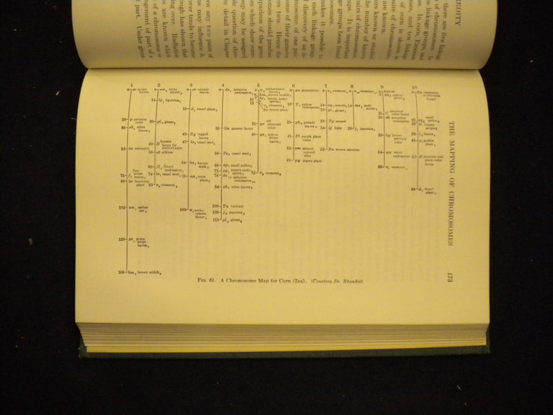 1946 THE PRINCIPLES OF HEREDITY HARDCOVER BOOK LAURENCE H. SNYDER - KD 8137