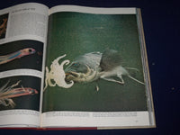 1955 THE WORLD WE LIVE IN BOOK BY TIME INC. - NICE COLOR FOLD OUTS - KD 2206