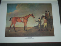 1966 THE BRITISH THOROUGHBRED 1700-1850 BY VINCENT ORCHARD BOOK - I 1254
