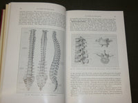1955 THE BACK AND ITS DISK SYNDROMES BOOK BY PHILIP LEWIN M. D. - KD 6288