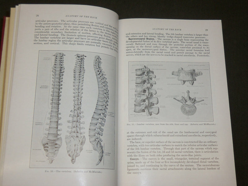 1955 THE BACK AND ITS DISK SYNDROMES BOOK BY PHILIP LEWIN M. D. - KD 6288