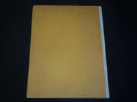 1920'S DIE VENUS IN DER ITALIENISCHEN MALEREI GERMAN BOOK - NICE PRINTS - J 5455