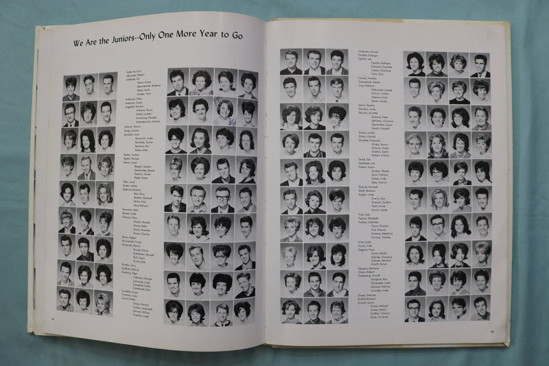 1964/1965 KELVYNIAN KELVYN PARK HIGH SCHOOL YEARBOOK - CHICAGO, IL - YB 3562