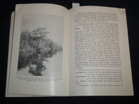 1921 WILD FIRE RESOURCES OF LOUISIANA DEPT OF CONSERVATION M. ALEXANDER- J 8716