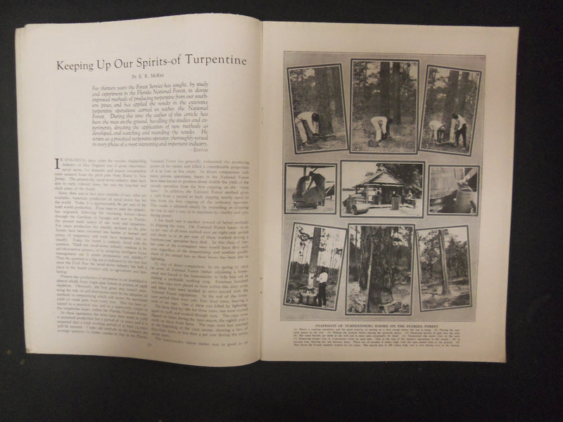 1924 FEBRUARY AMERICAN FORESTS & FOREST LIFE MAGAZINE - ST 4605