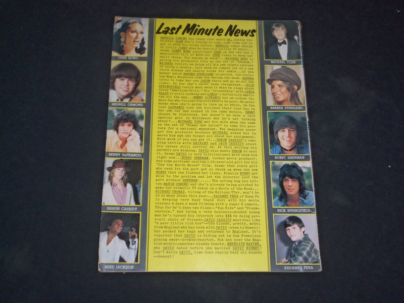 1974 NOVEMBER TEEN STAR GOSSIP MAGAZINE - VINCE VAN PATTEN - SP 8639