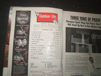 1955 NOVEMBER OUTDOOR LIFE MAGAZINE - A TIGER HAS KILLED - SP 1520X