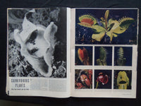 1943 JUNE 14 LIFE MAGAZINE - HIGH SCHOOL GRADUATION - L 343
