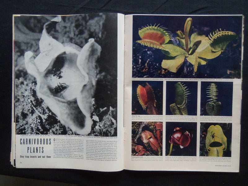 1943 JUNE 14 LIFE MAGAZINE - HIGH SCHOOL GRADUATION - L 343