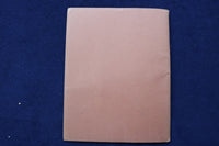1943 MURALS IN THE STATE BANK OF ALBANY SOFTCOVER BOOK - K 902