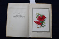 1930'S FLOWERS OF BERMUDA SOFTCOVER BOOK BY MAY MIDDLETON - K 1450