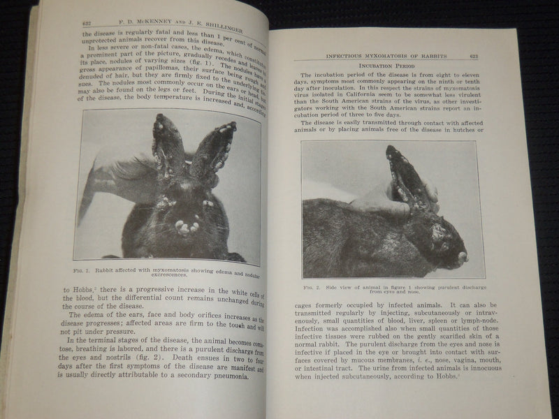 1935 AMERICAN VETERINARY MEDICAL ASSOC. JOURNAL 12 ISSUES COMPLETE YR - WR 632J