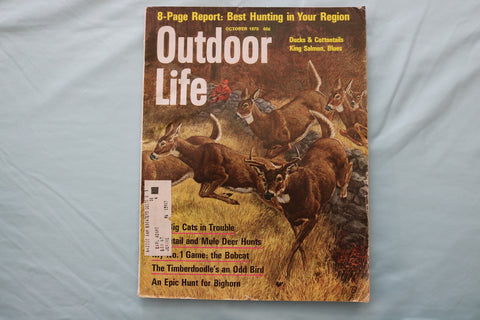 1970 OCTOBER OUTDOOR LIFE MAGAZINE - ILLUSTRATED DEER COVER - E 26677