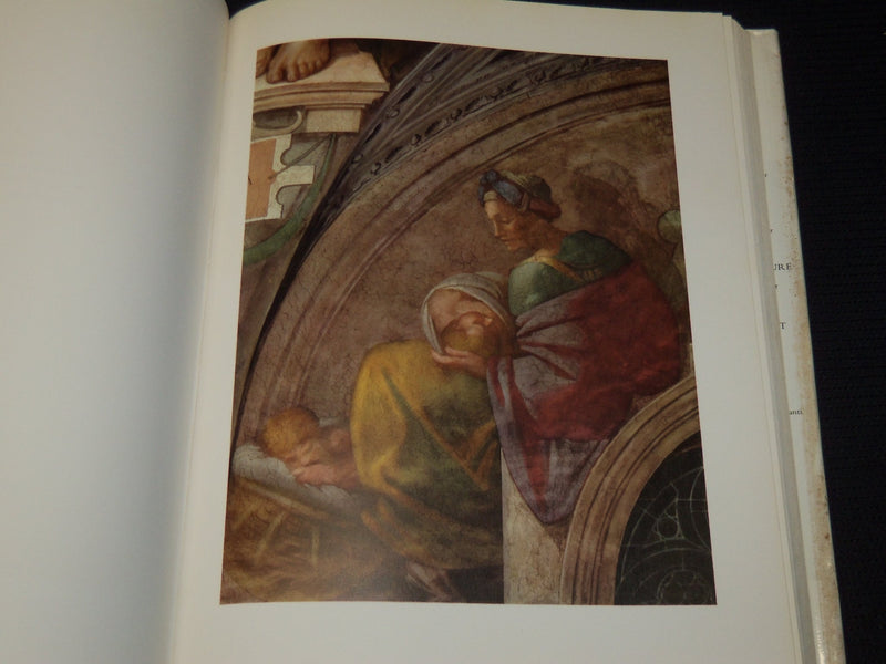 1967 THE COMPLETE WORK OF MICHELANGELO HARDBOOK - 1ST EDITION - I 1920