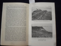 1915 DECEMBER WILLOWS: THEIR GROWTH, USE, AND IMPORTANCE SOFTCOVER BOOK - J 9618