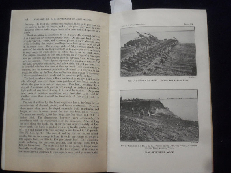 1915 DECEMBER WILLOWS: THEIR GROWTH, USE, AND IMPORTANCE SOFTCOVER BOOK - J 9618