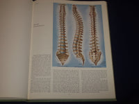1977 CIBA COLLECTION OF MEDICAL ILLUSTRATIONS VOL. 1 - NERVOUS SYSTEM - KD 2708