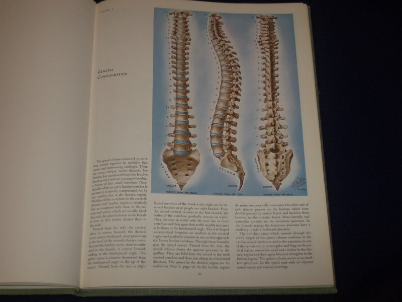 1977 CIBA COLLECTION OF MEDICAL ILLUSTRATIONS VOL. 1 - NERVOUS SYSTEM - KD 2708