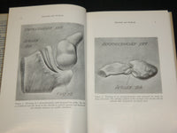 1957 DEGENERATIVE CHANGES IN THE STERNOCLAVICULAR JOINTS BOOK DEPALMA - KD 6362