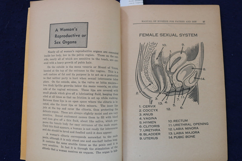 1948 FATHER AND SON MANUAL OF HYGIENE SOFTCOVER BOOK - K 1326