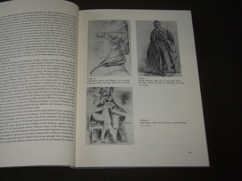 1983 MASTER EUROPEAN DRAWINGS - IRELAND BOOK - GREAT PHOTOS - I 1638