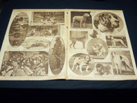 1918 MARCH 3 NEW YORK TIMES PICTURE SECTION NO. 8 & 9 -WESTMINSTER CLUB- NT 8806