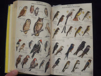 1959 COMPLETE FIELD GUIDE TO AMERICAN WILDLIFE HARDCOVER BOOK - KD 8682