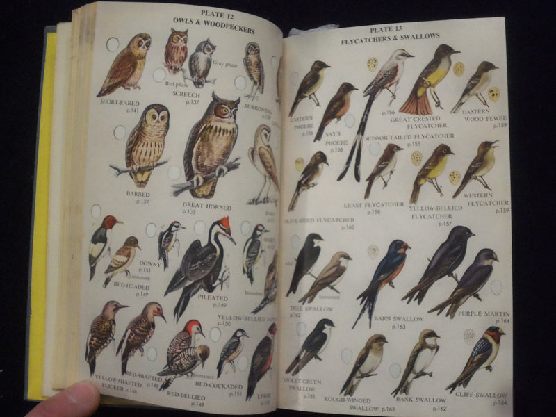1959 COMPLETE FIELD GUIDE TO AMERICAN WILDLIFE HARDCOVER BOOK - KD 8682