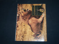 1991 JUNE 24 THE NEW YORKER MAGAZINE - ILLUSTRATED COVER - NY 1489