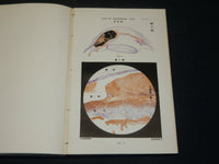 1894-1907 ARCHIV FUR AUGENHEILKUNDE KNAPP SCHWEIGGER VOLUME LOT OF 28 - R 372