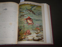 1928 IL MARE BOOK BY EGISTO ROGGERO - ITALIAN - GREAT MAPS - KD 4919