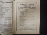1924 NOVEMBER AMERICAN FORESTS & FOREST LIFE MAGAZINE - ST 4608