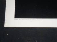 1975 THE FIRST NUDE MUSICAL 1/2 SHEET MOVIE POSTER - CINDY WILLIAMS - P 314