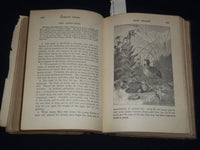 1896 MCGUFFEY'S FIFTH ECLECTIC READER BOOK - REVISED EDITION - K 2003