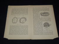 1866-1926 GOVERNMENT REPORTS & STUDIES ON INDIA LOT OF 32 PIECES - O 2515I