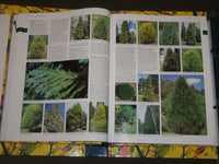 1998 BOTANICA ILLUSTRATED A-Z OF GARDEN PLANTS 2ND EDITION BOOK - BOXED - I 368
