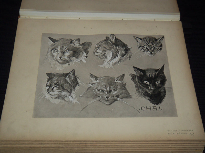 1911 ETUDES D'ANIMAUX FRENCH VOLUME BY M. MEHEUT - 50 ANIMAL PLATES - Z 277