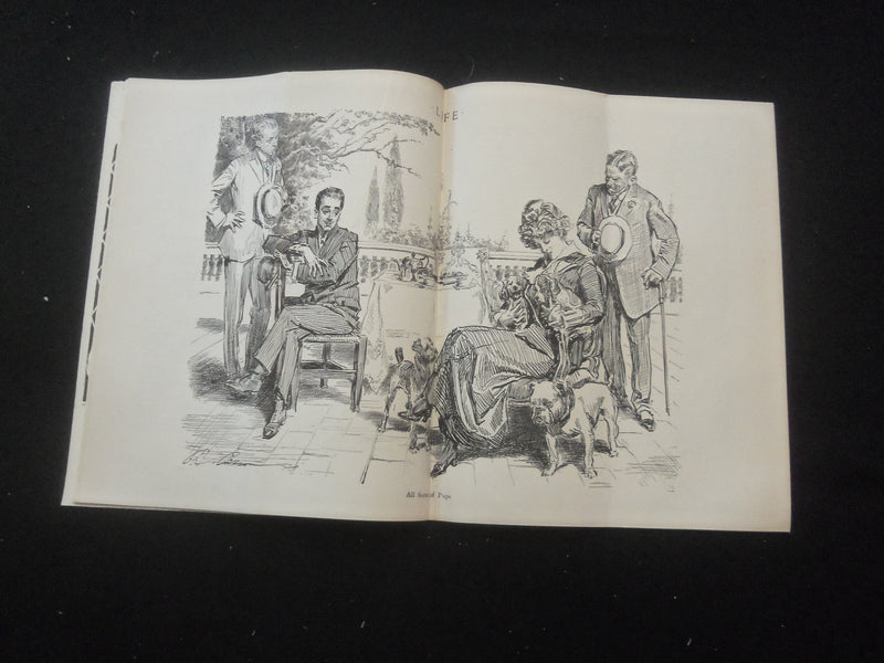 1913 AUGUST 14 LIFE MAGAZINE - SUMMER JOYS - L 758A